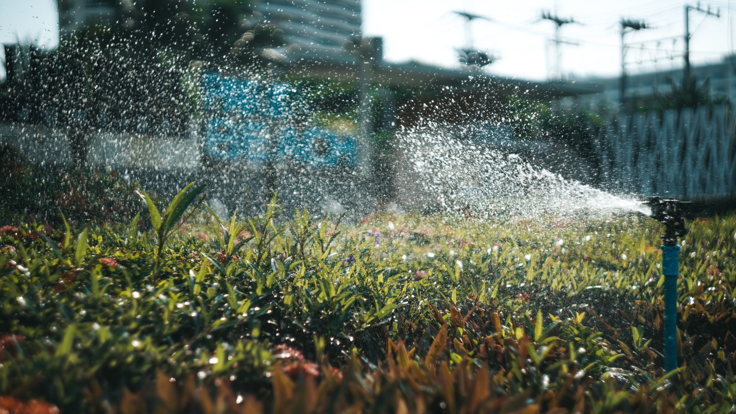 Do Smart Sprinkler Systems Help Water Conservation