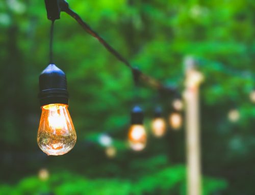 5 Tips To Help You Choose The Perfect Landscape Lighting For Your Garden