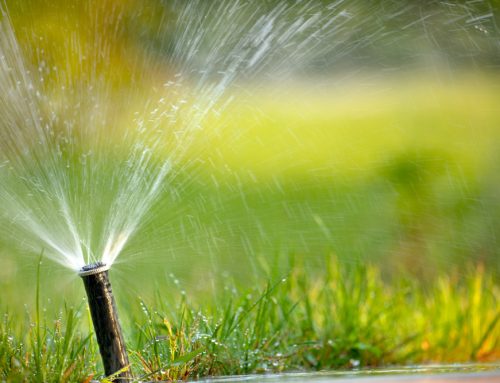 Why Does Your Sprinkler Leaks Water? What Can You Do?