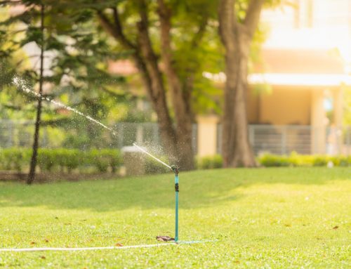 5 Care Tips For Your Sprinkler This Spring