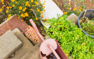 How To Declutter Your Garden: A Step-by-Step Guide