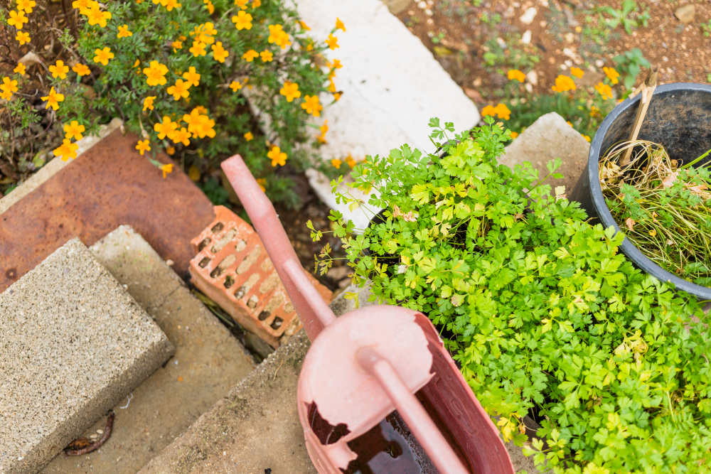 How To Declutter Your Garden: A Step-by-Step Guide
