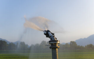 Hidden Costs of DIY Sprinkler Installation